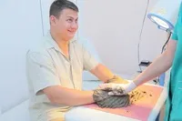 тюменска ахманка