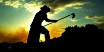 Українці орють майже як мексиканці Суспільство Економіка та фінанси суспільство