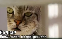 Рома, зав’язуй! язуй
