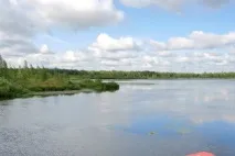 ахманка ахманка