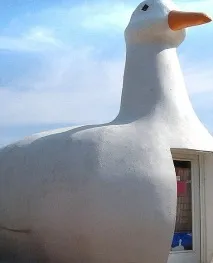 животни къщи
