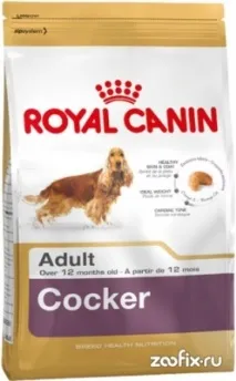 шпаньол royal