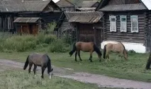 Серпіївські печери серпіївські