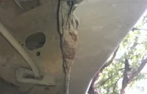 Шість типових помилок шиномонтажників при перевзутті шин шість