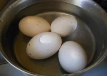 киселец киселец