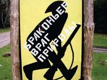 Штрафи та покарання за порушення правил полювання та незаконне полювання, Новини Оренбурга правил