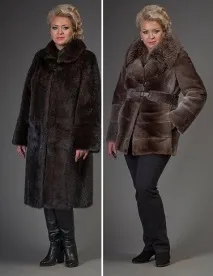 повних