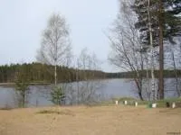 Проекти