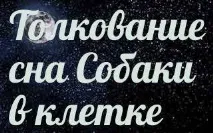 куче сънища