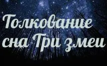 змии змии