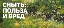 Снити користь та шкоду снити
