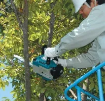 една ръка верижния трион