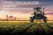 периодично периодично