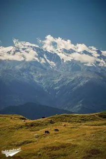 грузія