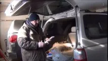 запушена toyota