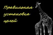 търговия план