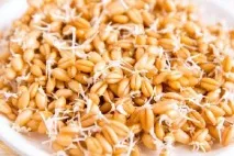 Тільки не банани і не груші якісь продукти можна їсти вранці банани