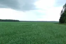 Тест дальності радіокерування Corona