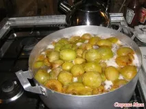 ткемалі