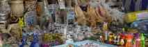 ботаническата градина ботаническата градина