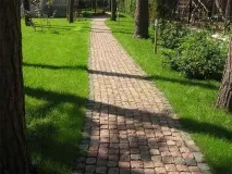 сами сами