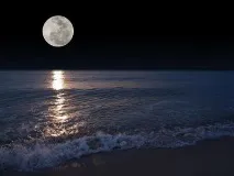 вода учените