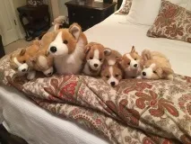 маскирането майстор