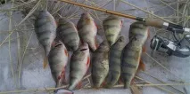 езерото природен