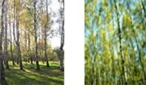 урок литература
