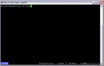 screen