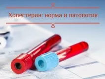 нивото холестерола