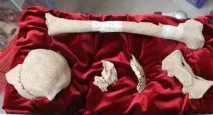 Версія смерті Караваджо - вбивство, Ельвіра - український гід за Вероною версія