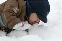 дорогу