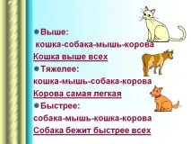Вище кішка-собака-миша-корова Кішка вище за всіх Важче Презентація 234516-4 кішка