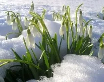 анекдоти