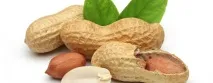 собствени фъстъци