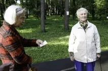Власникам собак У тульських парках вигул вихованців заборонено! Новини Тули та області вигул