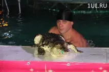 Вперше ульянівці можуть побачити циркове шоу на воді "AQUA-show" побачити