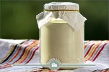 Вся правда про майонез - легкий, дієтичний і корисний - My Life правда