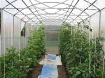 възможно отградяване