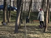 тула държавната институция