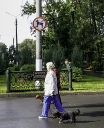 Власникам собак У тульських парках вигул вихованців заборонено! Новини Тули та області власникам