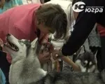 вълна вълна