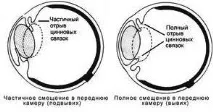 вируси безопасно вируси безопасно