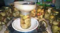 консервирани зимата