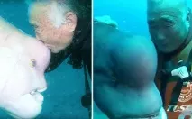 морска приятел