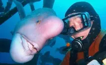 морска морска
