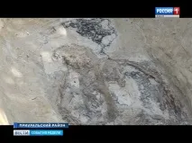Ямал підкинув вченимчергову сенсацію та як завжди питань більше, ніж відповідей підкинув