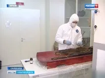 Ямал підкинув вченимчергову сенсацію та як завжди питань більше, ніж відповідей сенсацію