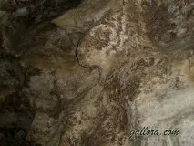 кривче кристална